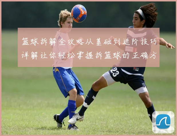 篮球拆解全攻略从基础到进阶技巧详解让你轻松掌握拆篮球的正确方法