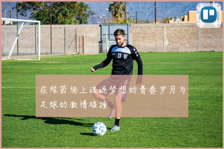 在绿茵场上追逐梦想的青春岁月与足球的激情碰撞
