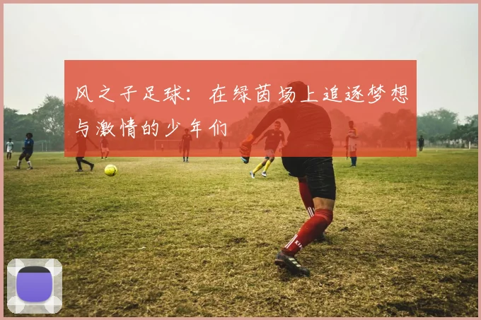 风之子足球：在绿茵场上追逐梦想与激情的少年们