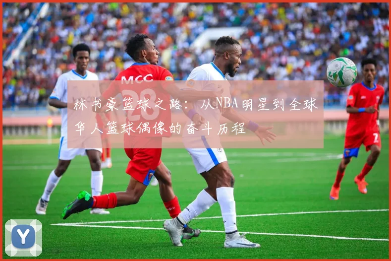 林书豪篮球之路：从NBA明星到全球华人篮球偶像的奋斗历程