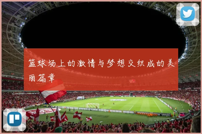 篮球场上的激情与梦想交织成的美丽篇章