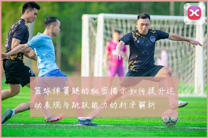 篮球弹簧腿的秘密揭示如何提升运动表现与跳跃能力的科学解析