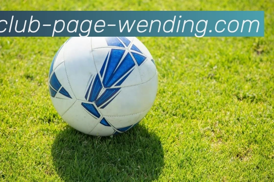 问鼎娱乐平台生态图